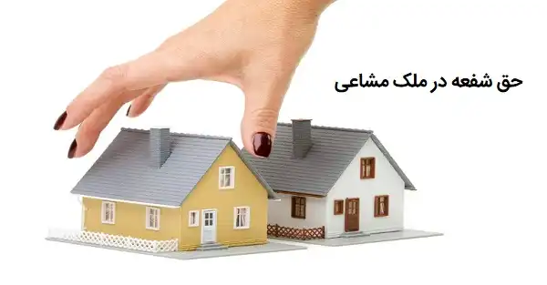 حق شفعه در ملک مشاع